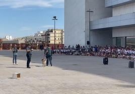 ¿Cómo trabaja la Guardia Civil? Exhibición de altura en pleno centro de Jaén