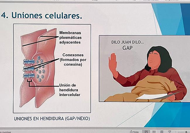 Otra de las imágenes utilizadas