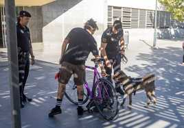 El miembro de la Unidad Canina de Granada que ha detectado la droga haciendo su trabajo.