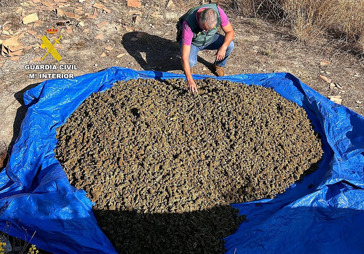 Encuentran varios kilos de marihuana en una vivienda abandonada de Las Gabias