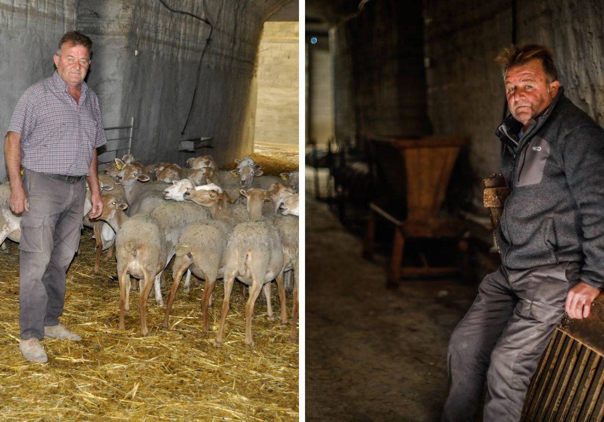Antonio Galera desolado hace un año (derecha) tras el sacrificio de sus animales por la viruela ovina y este viernes, tras recibir a las primeras ovejas con las que intentará repoblar su explotación.