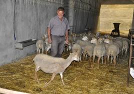 Antonio Galera, esperanzado esta semana tras recibir las primeras ovejas a prueba.