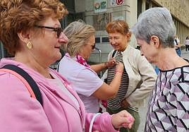 Colocación de lazos rosas en el Paseo de la Estación.