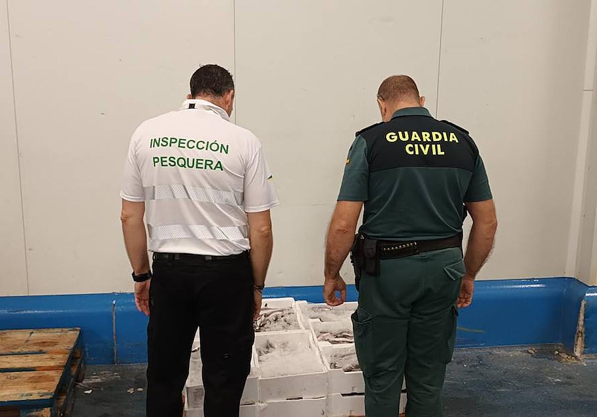 La actuación se ha hecho en el marco del plan Paciap.