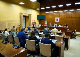 Un momento de la comisión parlamentaria de Presidencia celebrada este jueves.