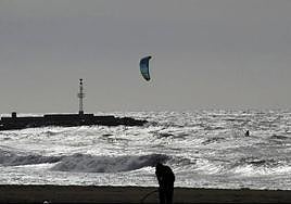Las fuertes rachas de viento provocan caídas de árboles y ramas en Almería.