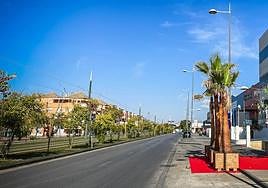 Zona por la que sucedieron los hechos.