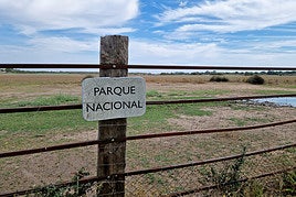 Parque Nacional de Doñana.