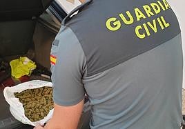 Cogollos de marihuana en el interior del vehículo.
