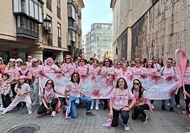 La Marcha Rosa, este domingo, a su paso por la plaza de la Constitución