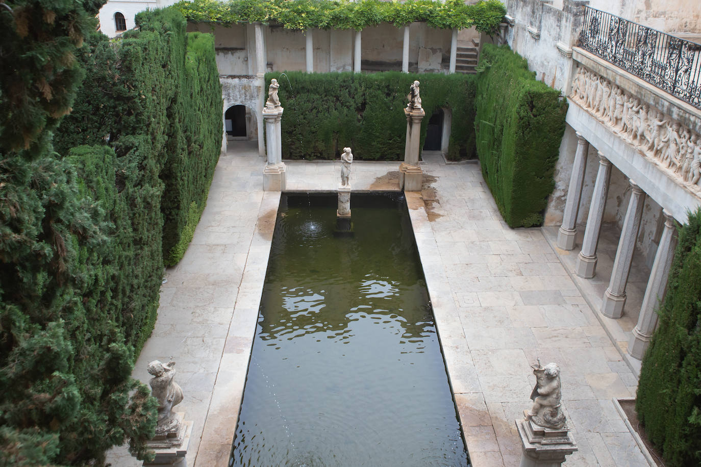 Jardín de Venus del Carmen Blanco.
