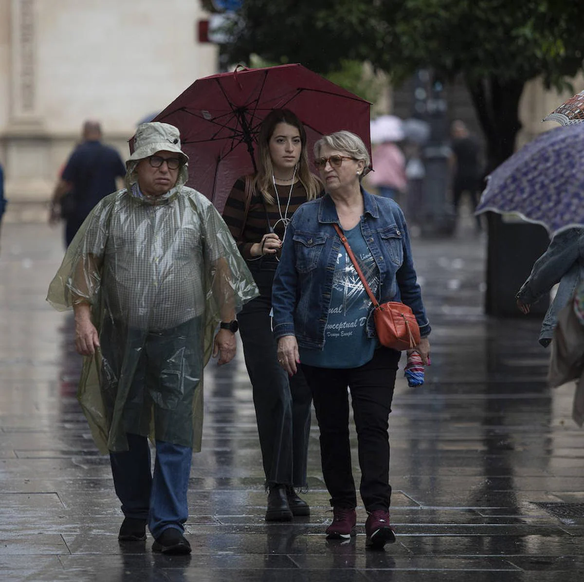 Lluvia Y Viento: El Tiempo En Andalucía: Estas Serán Las Consecuencias ...