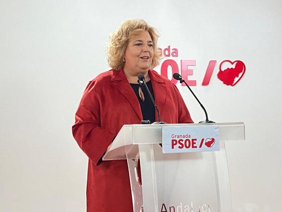 Fátima Gómez, portavoz socialista en la Diputación