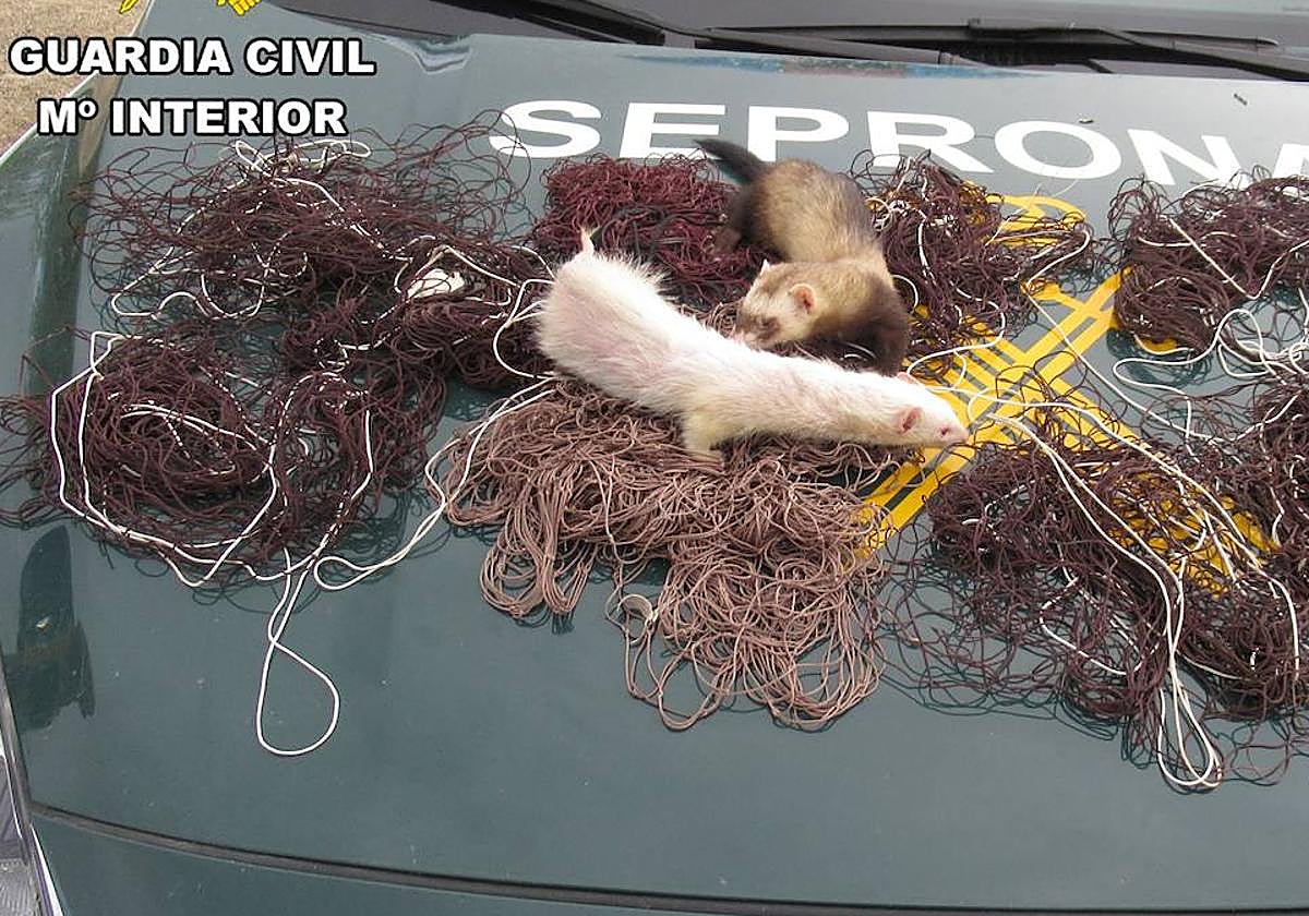 Material que usaba el investigado para cazar conejos.