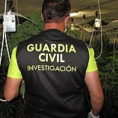 La Guardia Civil descubre 39 invernaderos de marihuana en 14 pueblos de Granada en solo siete días
