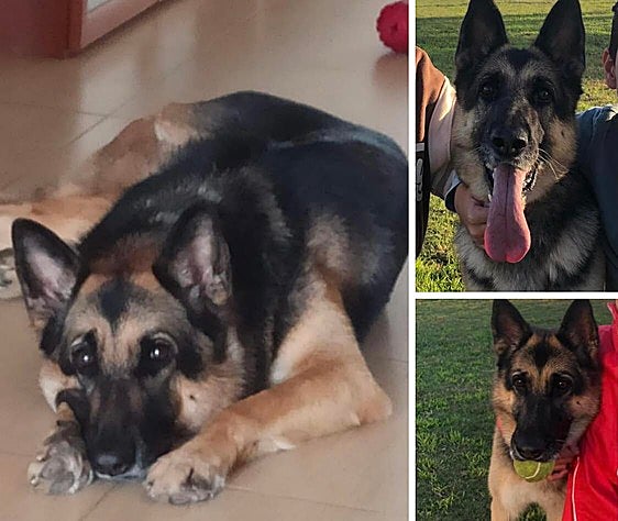 Piden ayuda para encontrar a Sía