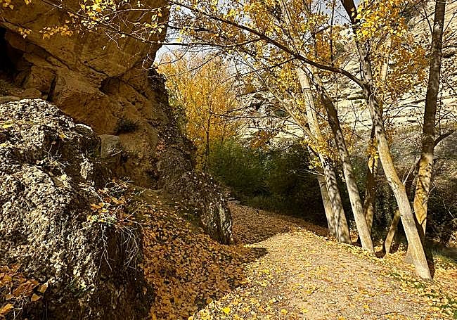 Camino junto al río Alhama.