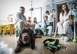 Aslan mira a la cámara de IDEAL junto a su dueño Manuel y los pequeños pacientes del Hospital Clínico San Cecilio.