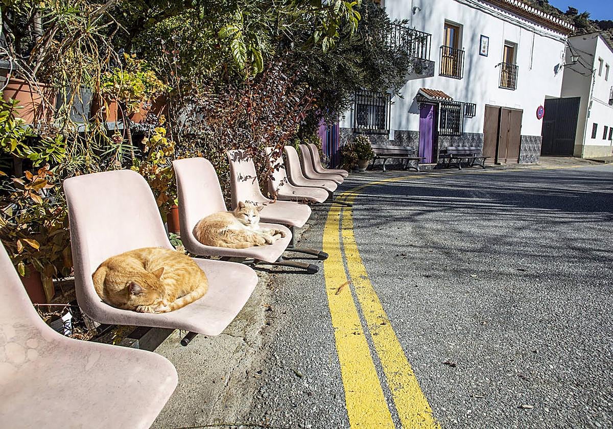 Cástaras, uno de los municipios que pierde población y que tiene a sus vecinos envejecidos.