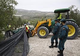 Miembros de la Guardia Civil durante el dispositivo para evitar robos de aceituna.