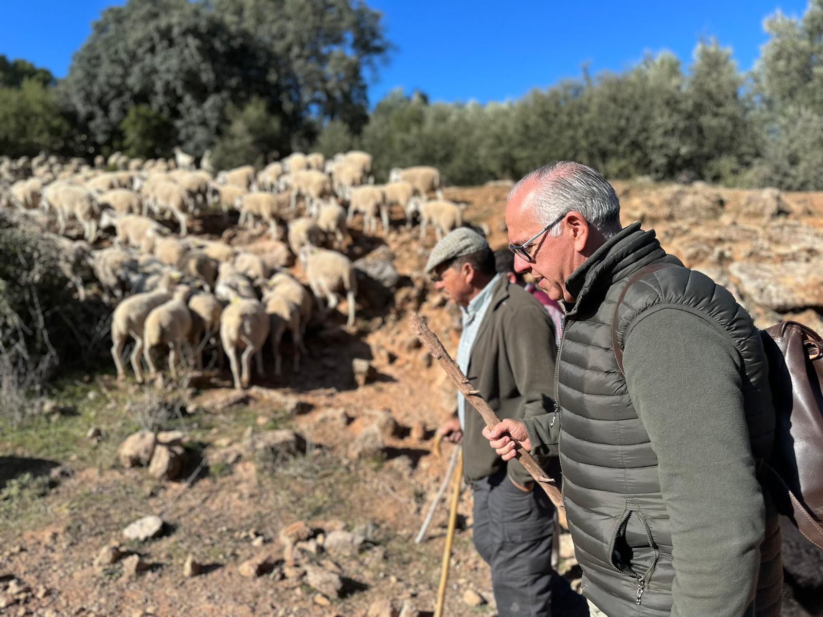 El delegado Jesús Estrella junto al un pastor en la jornada de trashumancia.