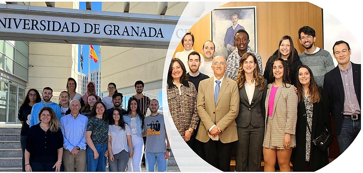 Investigadores de Granada avanzan en el tratamiento de la enfermedad inflamatoria intestinal y el cáncer colorrectal