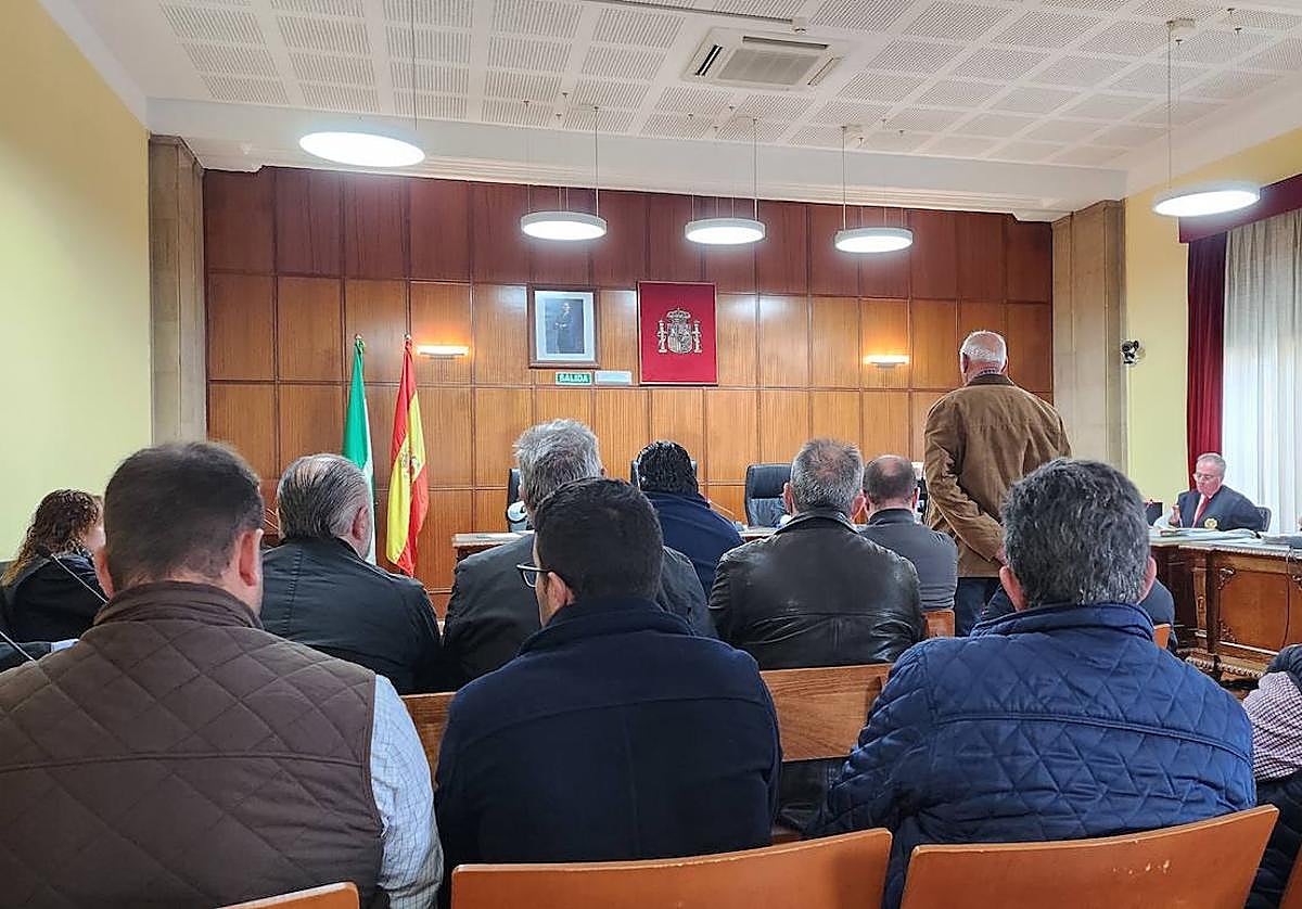 Los acusados en la sala de vistas de la Audiencia Provincial de Jaén.