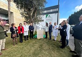 Inauguración de la escultura de Andrés García Ibáñez, en Torrecárdenas.
