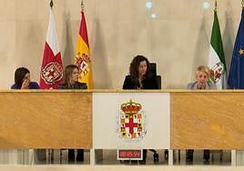 Pleno del Ayuntamiento de Almería.