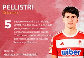 Las notas de los jugadores del Granada ante el Real Madrid