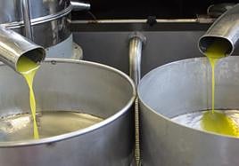 Exprimidoras de aceite.