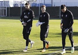 Árbol, entre André y Adri.