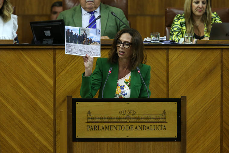 «Respetamos la decisión del Supremo, pero no estamos de acuerdo con la no elección de Granada»