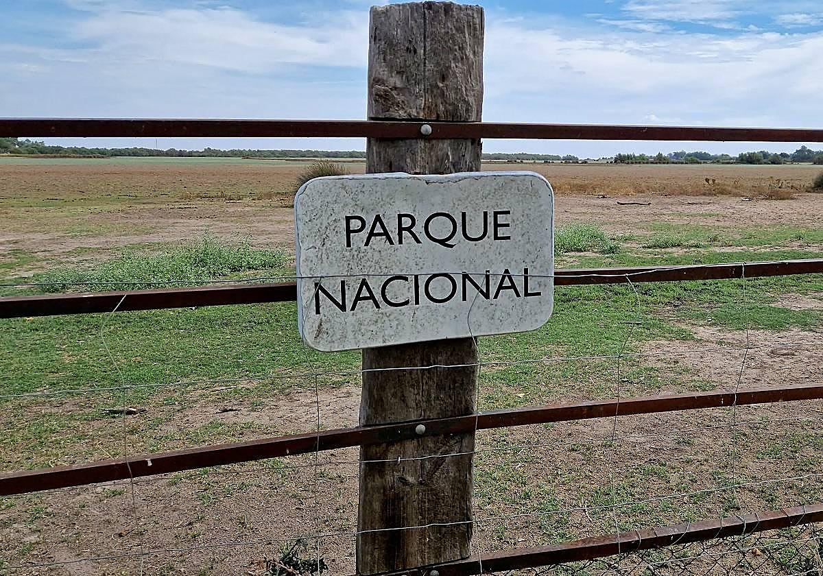 Parque Nacional de Doñana.