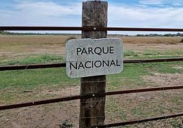 Parque Nacional de Doñana.