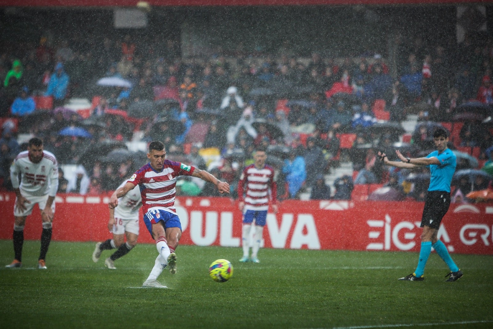 Las mejores imágenes del partido disputado en Los Cármenes