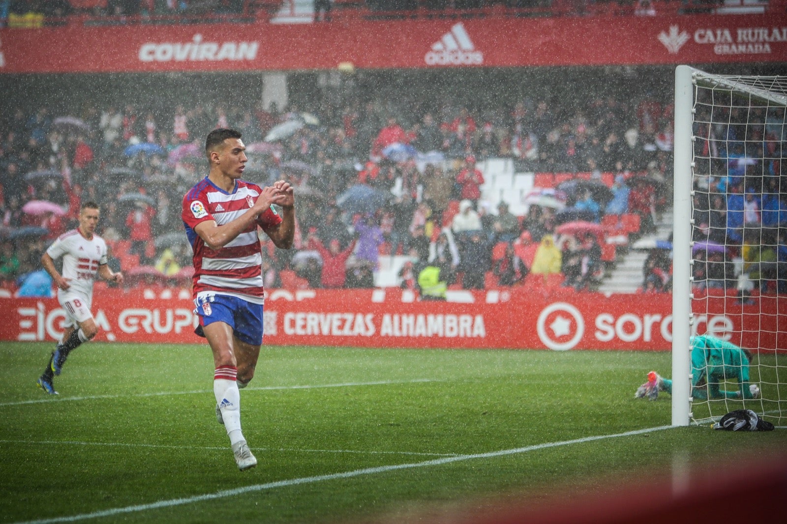 Las mejores imágenes del partido disputado en Los Cármenes