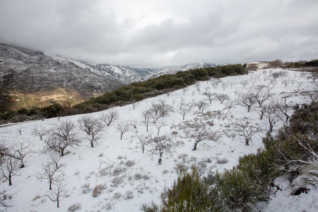 El temporal deja temperaturas bajas y nieve en Granada capital y en varios puntos de la provincia