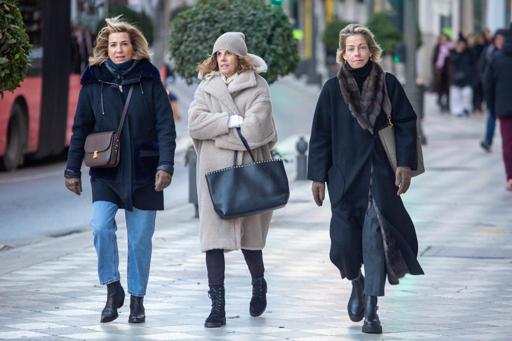 La capital y toda la provincia amanecen con temperaturas muy bajas que dejan helados a los granadinos