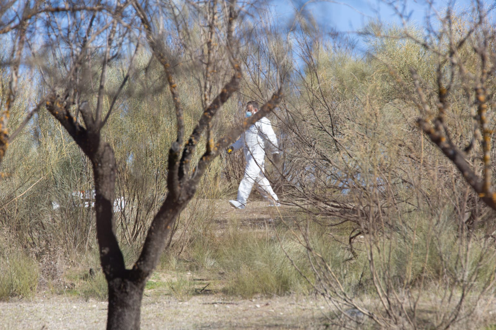 Policía Nacional se ha desplazado al lugar de los hechos y ha acordonado el lugar