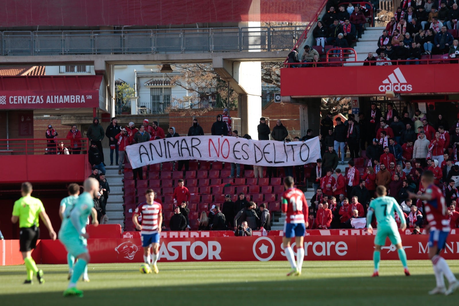 Las mejores imágenes del partido disputado en Los Cármenes