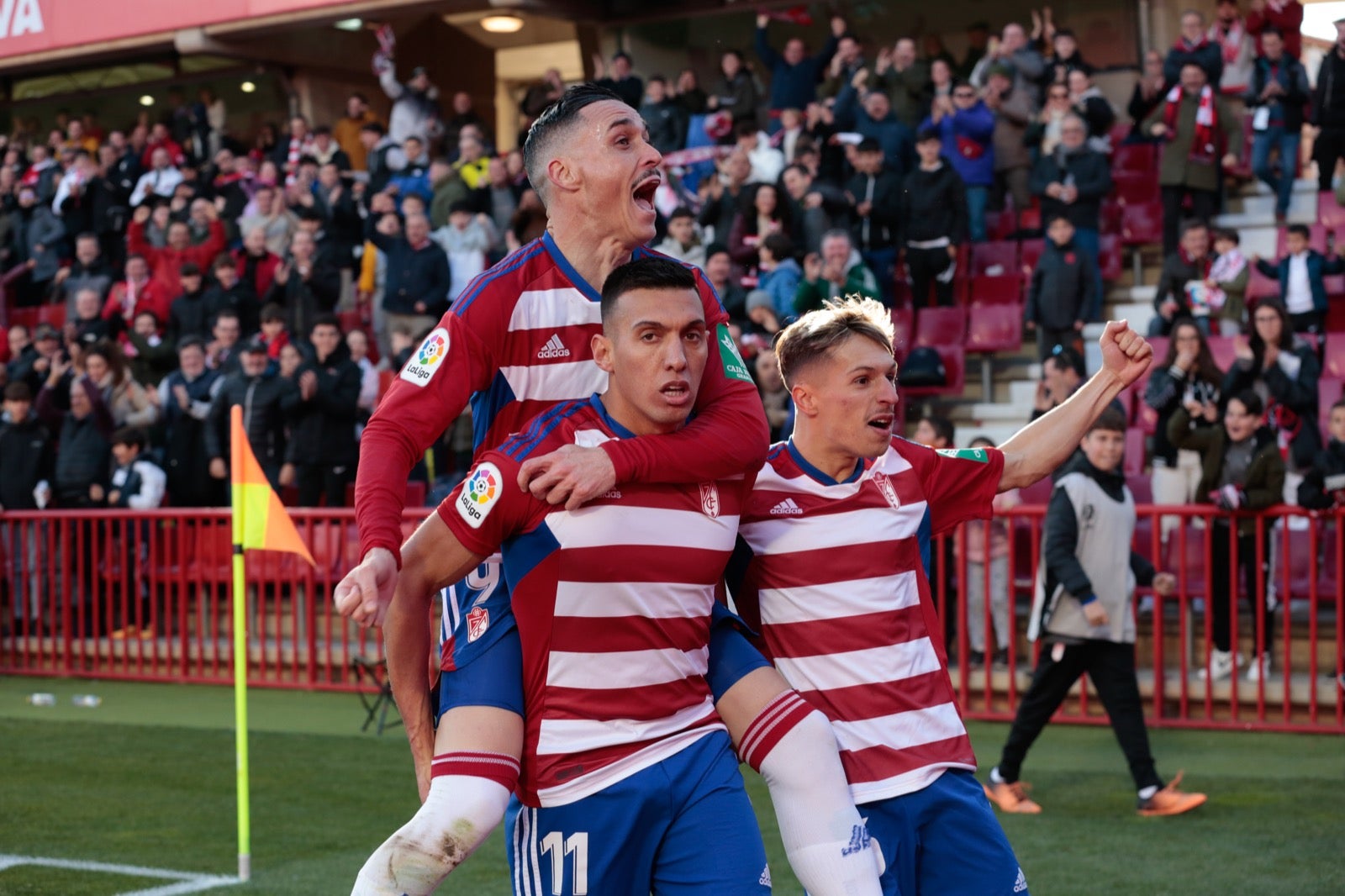 Las mejores imágenes del partido disputado en Los Cármenes