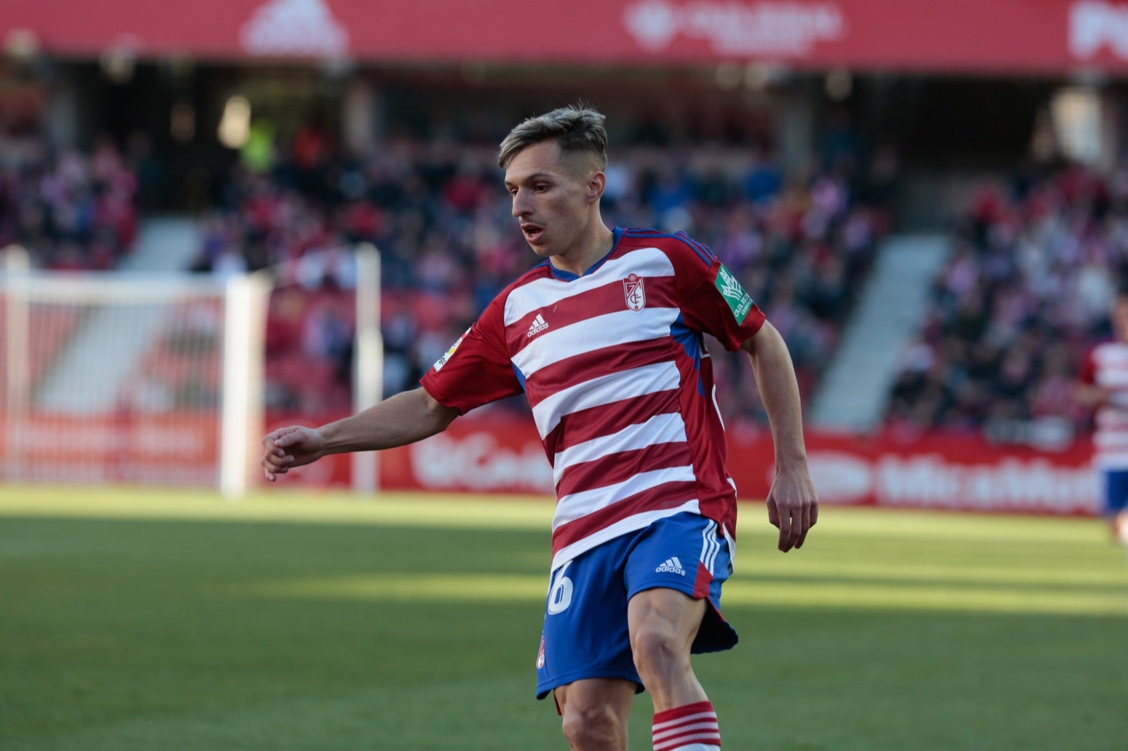 Las mejores imágenes del partido disputado en Los Cármenes