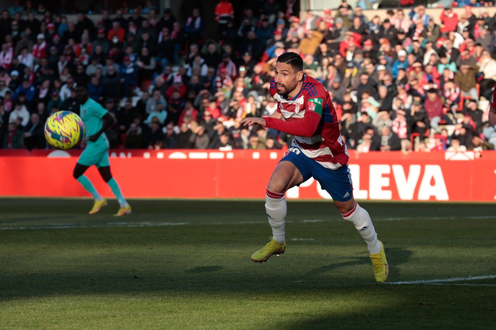 Las mejores imágenes del partido disputado en Los Cármenes