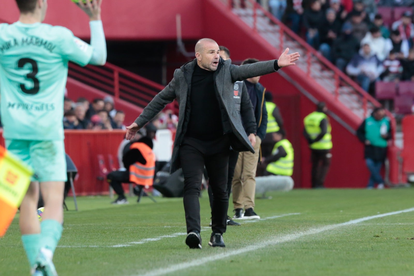 Las mejores imágenes del partido disputado en Los Cármenes