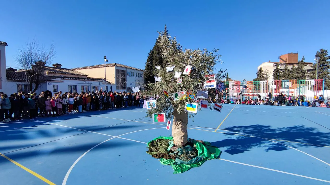 Fotos: Día de la Paz en el colegio Jesús María Cristo de la Yedra de Granada