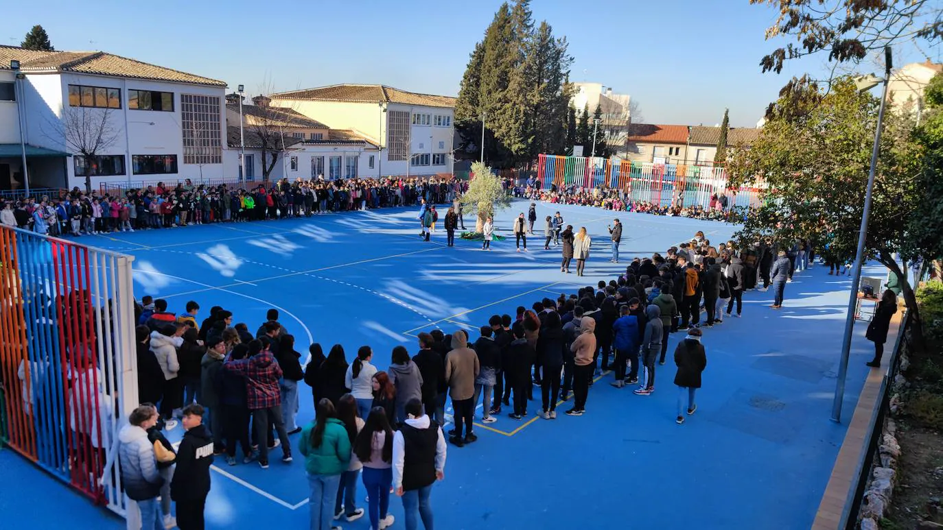 Fotos: Día de la Paz en el colegio Jesús María Cristo de la Yedra de Granada