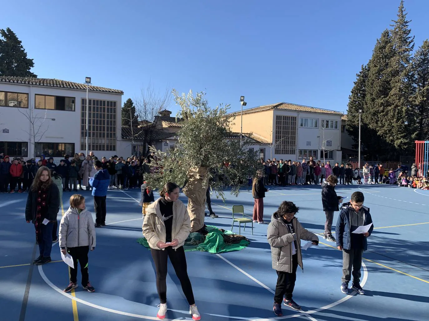 Fotos: Día de la Paz en el colegio Jesús María Cristo de la Yedra de Granada