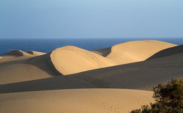 Dunas de Maspalomas con el Atlántico al fondo.