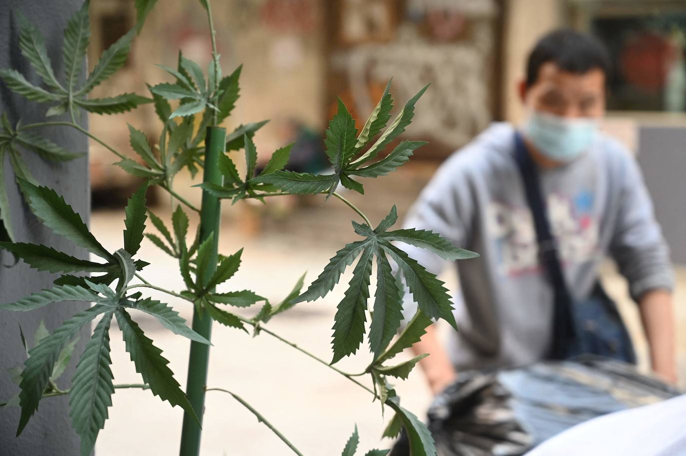 La UGR busca fumadores de cannabis para un estudio y ofrece dinero a cambio